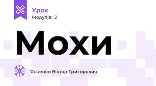 Мохи