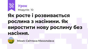 Як росте і розвивається рослина з насінини. Як виростити нову рослину без насіння.