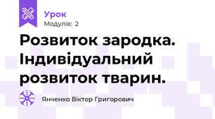 Розвиток зародка. Індивідуальний розвиток тварин.