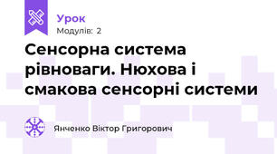 Сенсорна система рівноваги. Нюхова і смакова сенсорні системи