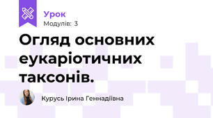 Огляд основних еукаріотичних таксонів.