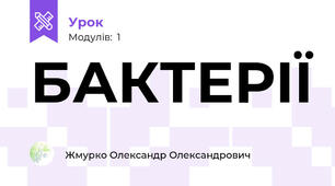 БАКТЕРІЇ