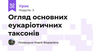 Огляд основних еукаріотичних таксонів