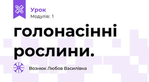 голонасінні рослини. 