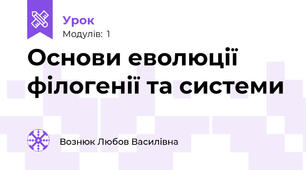 Основи еволюції філогенії та системи
