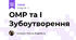 ОМР та І Зубоутворення