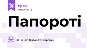 Папороті