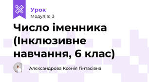 Число іменника (Інклюзивне навчання, 6 клас)