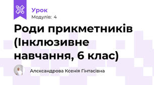 Роди прикметників (Інклюзивне навчання, 6 клас)