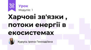 Харчові зв'язки , потоки енергії в екосистемах