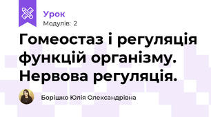 Гомеостаз і регуляція функцій організму. Нервова регуляція.