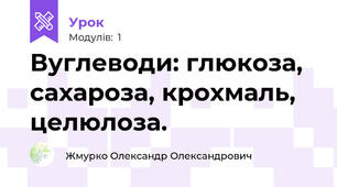 Вуглеводи: глюкоза, сахароза, крохмаль, целюлоза.