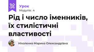 Рід і число іменників, їх стилістичні властивості