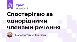 Спостерігаю за однорідними членами речення 