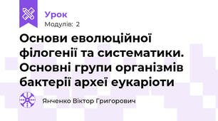 Основи еволюційної філогенії та систематики. Основні групи організмів бактерії археї еукаріоти