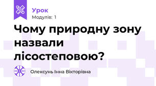 Чому природну зону назвали лісостеповою?