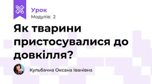 Як тварини пристосувалися до довкілля?