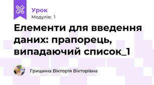 Елементи для введення даних: прапорець, випадаючий список_1