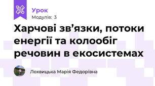 Харчові зв’язки, потоки енергії та колообіг речовин в екосистемах