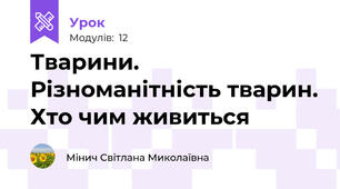 Тварини. Різноманітність тварин. Хто чим живиться