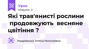Які трав'янисті рослини  продовжують  весняне цвітіння ?