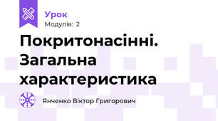 Покритонасінні. Загальна характеристика