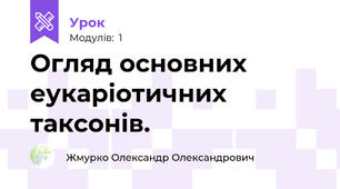 Огляд основних еукаріотичних таксонів.