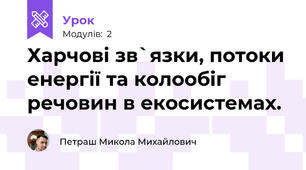 Харчові зв`язки, потоки енергії та колообіг речовин в екосистемах.