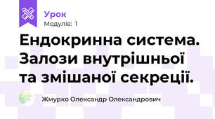 Ендокринна система. Залози внутрішньої та змішаної секреції.