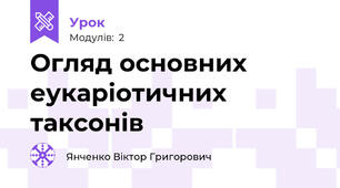 Огляд основних еукаріотичних таксонів