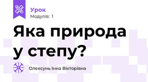 Яка природа у степу?
