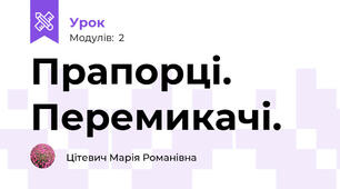 Прапорці. Перемикачі.
