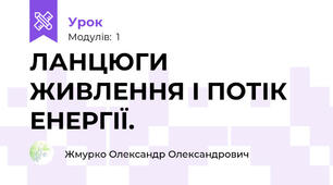 ЛАНЦЮГИ ЖИВЛЕННЯ І ПОТІК ЕНЕРГІЇ.