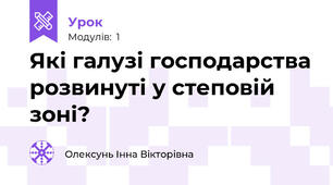 Які галузі господарства розвинуті у степовій зоні?