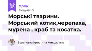 Морські тварини.  Морський котик,черепаха, мурена , краб та косатка.