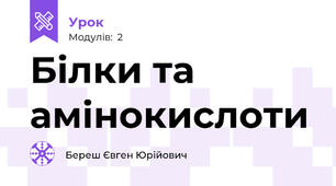 Білки та амінокислоти