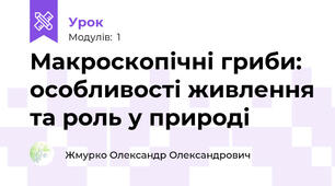 Макроскопічні гриби: особливості живлення та роль у природі