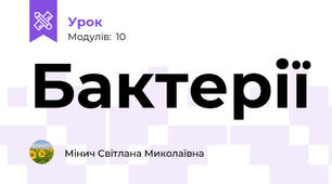 Бактерії