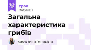 Загальна характеристика грибів