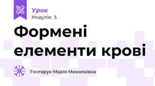 Формені елементи крові