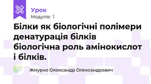 Білки як біологічні полімери денатурація білків біологічна роль амінокислот і білків.