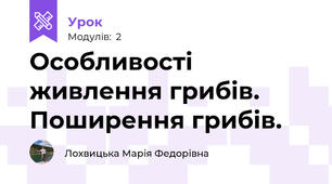 Особливості живлення грибів. Поширення грибів.