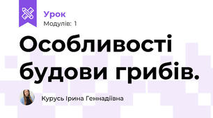 Особливості будови грибів.