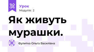 Як живуть мурашки.