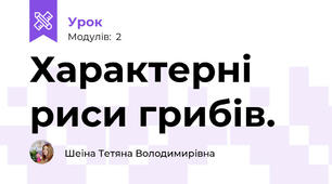 Характерні риси грибів.