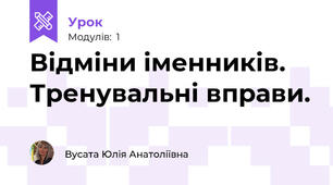 Відміни іменників. Тренувальні вправи.