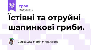 Їстівні та отруйні шапинкові гриби.