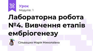 Лабораторна робота №4. Вивчення етапів ембріогенезу