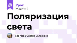 Поляризация света
