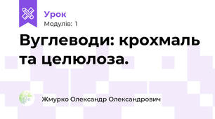 Вуглеводи: крохмаль та целюлоза.